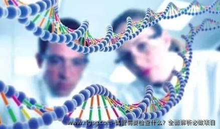 试管需要检查什么？全面解析必做项目