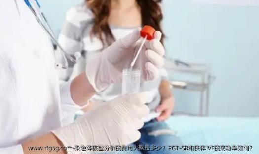染色体核型分析的费用大概是多少？PGT-SR和供体IVF的成功率如何？