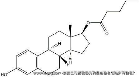 泰国三代试管婴儿的费用是否包括所有检查？