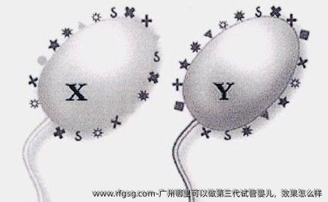 广州哪里可以做第三代试管婴儿，效果怎么样