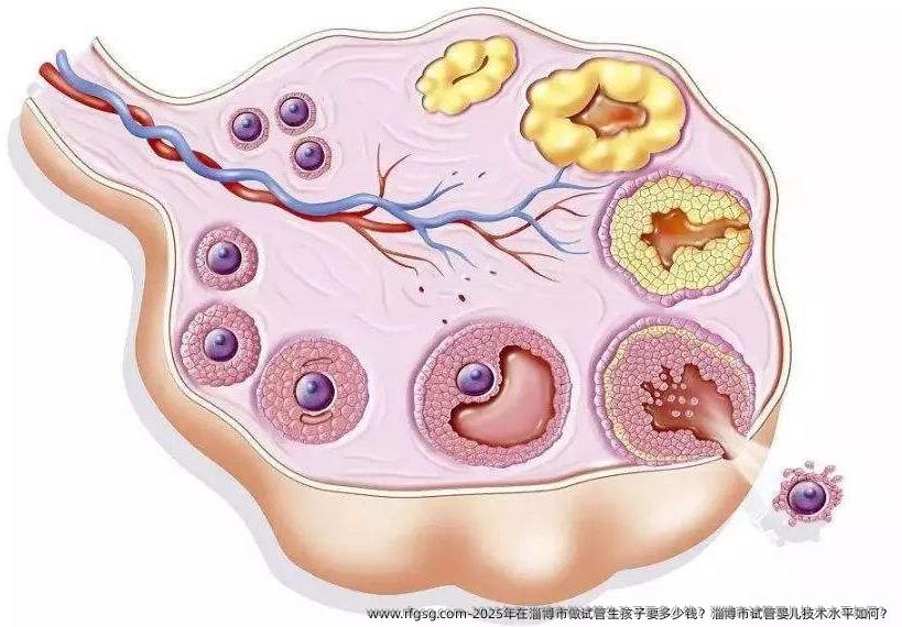2025年在淄博市做试管生孩子要多少钱？淄博市试管婴儿技术水平如何？