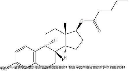 试管婴儿成功率还受哪些因素影响？轻度子宫内膜异位症对怀孕有影响吗？