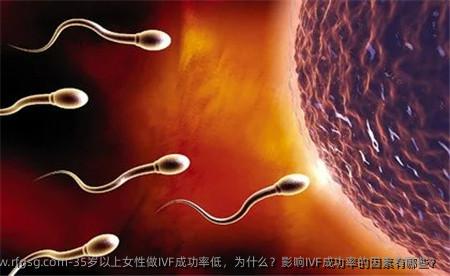 35岁以上女性做IVF成功率低，为什么？影响IVF成功率的因素有哪些？