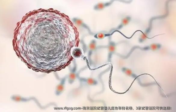 南京医院试管婴儿成功率排名榜，3家试管医院可供选择！