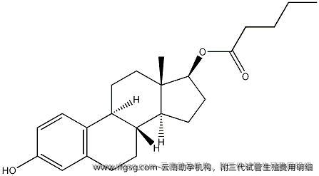 云南助孕机构，附三代试管生殖费用明细