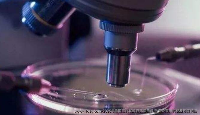 2025年美国三代试管婴儿费用解析,医院费用构成及预算明细