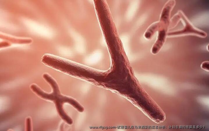 试管婴儿在马来西亚的成本分析：计划生育的预算是多少？