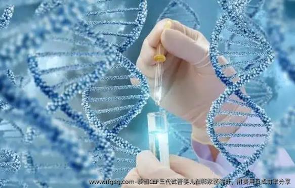 泰国CEF三代试管婴儿在哪家医院好，附费用及成功率分享