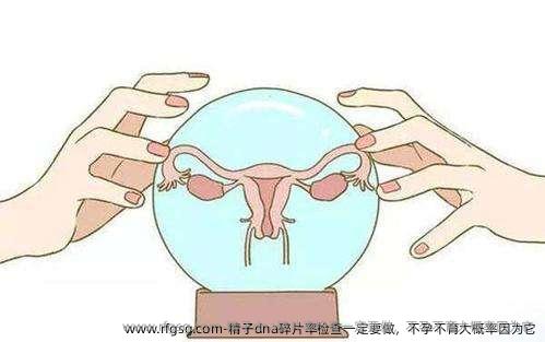 精子dna碎片率检查一定要做，不孕不育大概率因为它