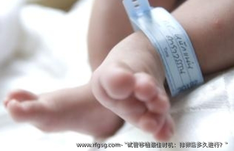 “试管移植最佳时机：排卵后多久进行？”