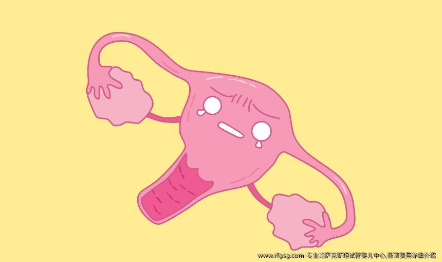 专业哈萨克斯坦试管婴儿中心,各项费用详细介绍 