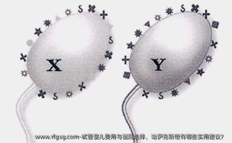 试管婴儿费用与医院选择，哈萨克斯坦有哪些实用建议？