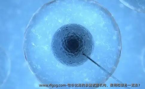 性价比高的泰国试管机构，费用和服务一览表？