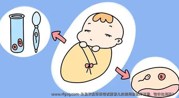 从吉尔吉斯斯坦试管婴儿的费用看医疗质量，性价比高吗？ 