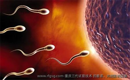 重庆三代试管技术 的要求，内附影响因素