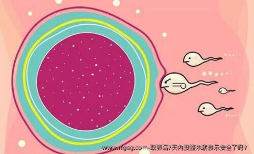 取卵后7天内没腹水就表示安全了吗？