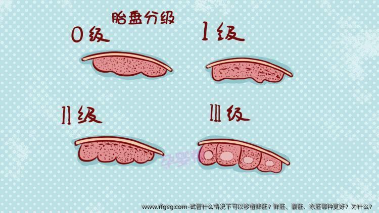 试管什么情况下可以移植鲜胚？鲜胚、囊胚、冻胚哪种更好？为什么？