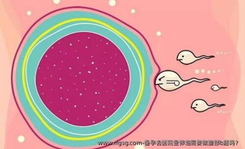 备孕去医院查卵泡需要做腹部b超吗？