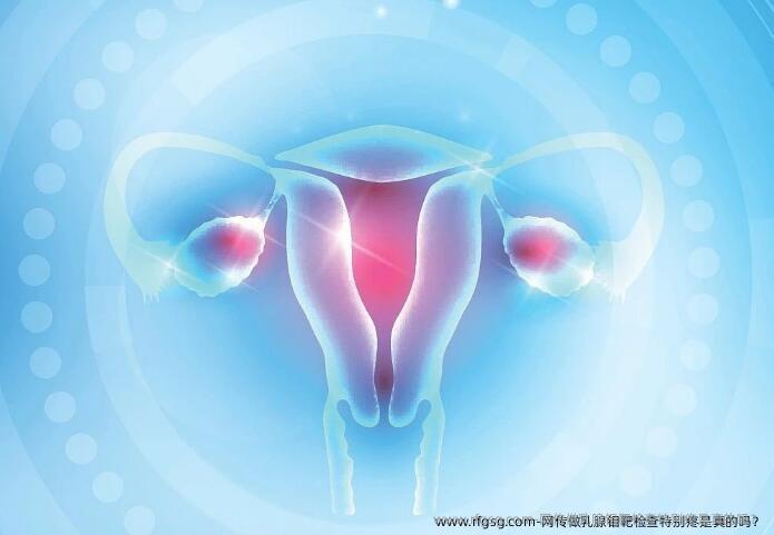 网传做乳腺钼靶检查特别疼是真的吗？