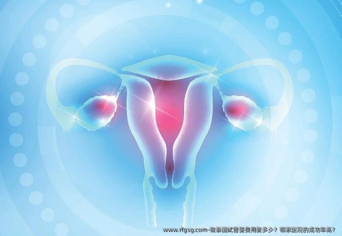 做泰国试管婴费用要多少？哪家医院的成功率高？