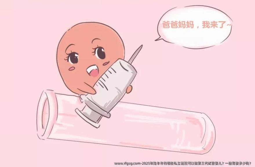 2025年陆丰市有哪些私立医院可以做第三代试管婴儿？一般需要多少钱？