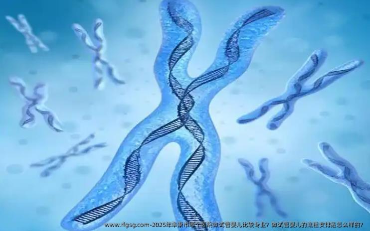 2025年阜康市哪个医院做试管婴儿比较专业？做试管婴儿的流程安排是怎么样的？