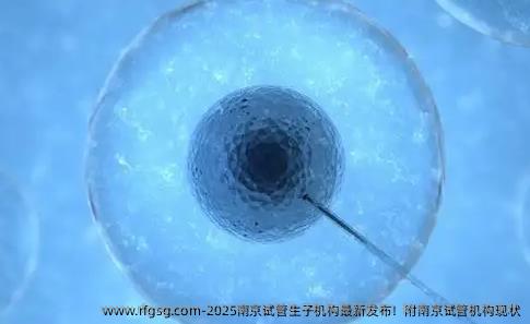 2025南京试管生子机构最新发布！附南京试管机构现状