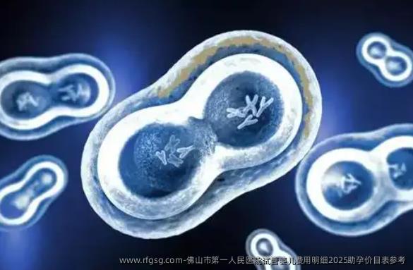佛山市第一人民医院试管婴儿费用明细2025助孕价目表参考