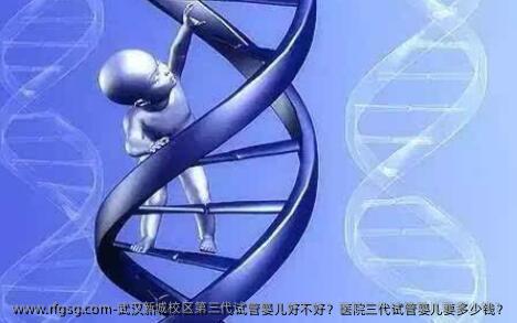 武汉新城校区第三代试管婴儿好不好？医院三代试管婴儿要多少钱？