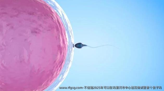 不结婚2025年可以在吗漯河市中心医院做试管要个孩子吗