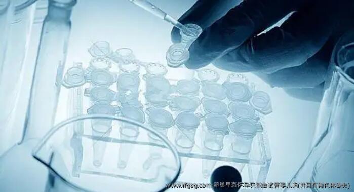 卵巢早衰怀孕只能做试管婴儿吗(并且有染色体缺失)