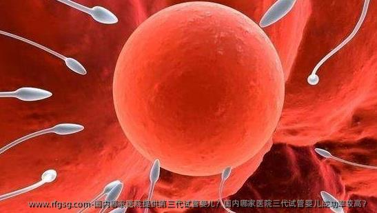 国内哪家医院提供第三代试管婴儿？国内哪家医院三代试管婴儿成功率较高？