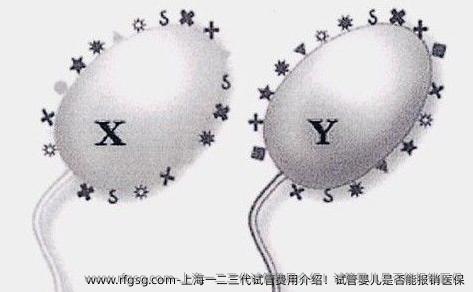 上海一二三代<a href=
