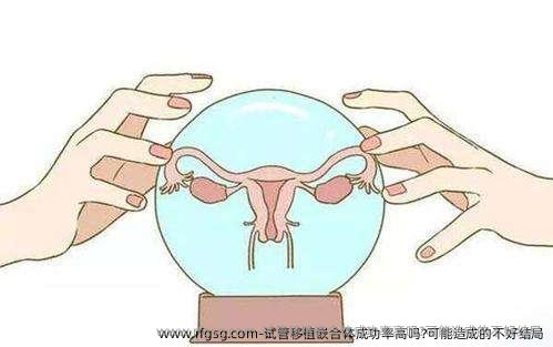 试管移植嵌合体成功率高吗?可能造成的不好结局