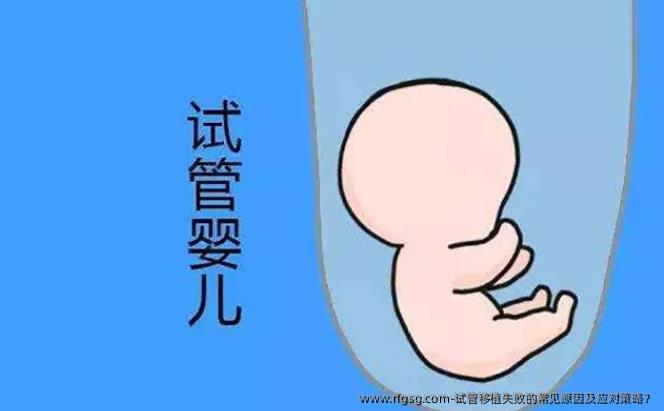 试管移植失败的常见原因及应对策略？