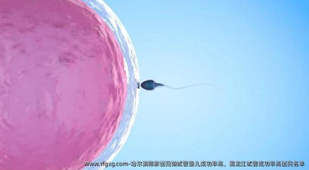 哈尔滨哪家医院做试管婴儿成功率高，黑龙江试管成功率高医院名单