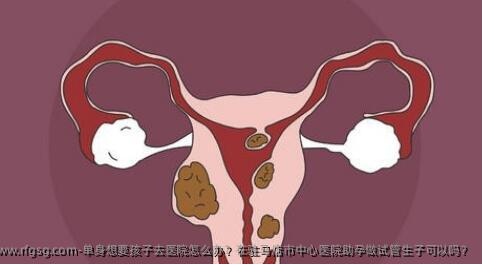 单身想要孩子去医院怎么办？在驻马店市中心医院助孕做试管生子可以吗？