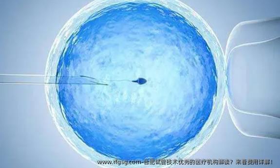 合肥试管技术优秀的医疗机构解读？来看费用详解！