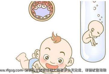 深圳私立试管过程大概要多少天完成，详解试管周期