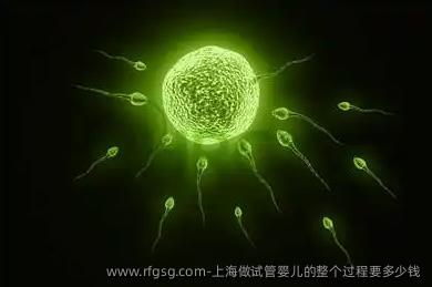 上海做试管婴儿的整个过程要多少钱