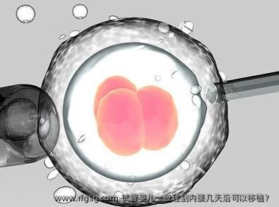 试管婴儿一般轻刮内膜几天后可以移植？