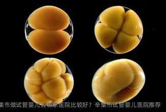 2025年在辛集市做试管婴儿去哪家医院比较好？辛集市试管婴儿医院推荐
