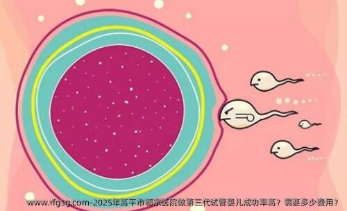 2025年高平市哪家医院做第三代试管婴儿成功率高？需要多少费用？