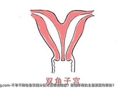 不孕不育检查项目分别对应哪些病症？胚胎停育的主要原因有哪些？