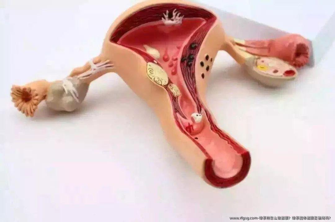 绿茶粉怎么做面膜？绿茶固体面膜是骗局吗？