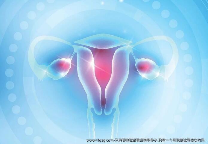 只有卵泡做试管成功率多少,只有一个卵泡做试管成功的吗