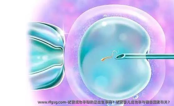 试管成功率指的是出生率吗？试管婴儿成功率与哪些因素有关？