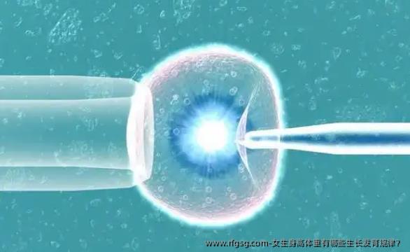 女生身高体重有哪些生长发育规律？