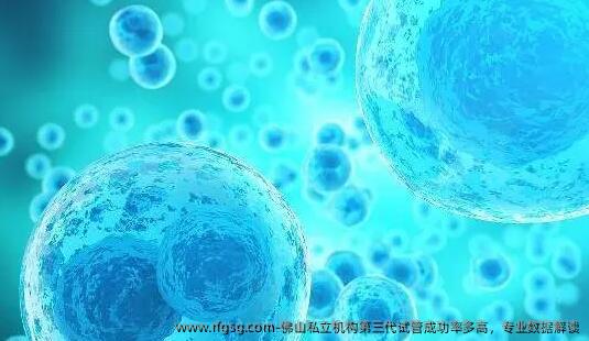 佛山私立机构第三代试管成功率多高，专业数据解读
