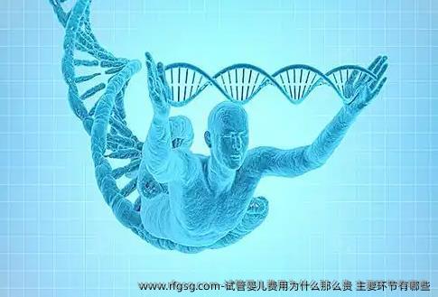 试管婴儿费用为什么那么贵？主要环节有哪些